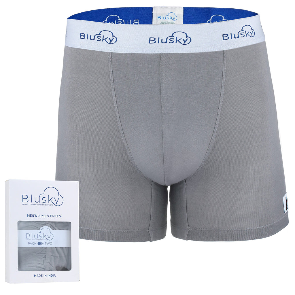 Grey Men's Bamboo Briefs 2-Pack